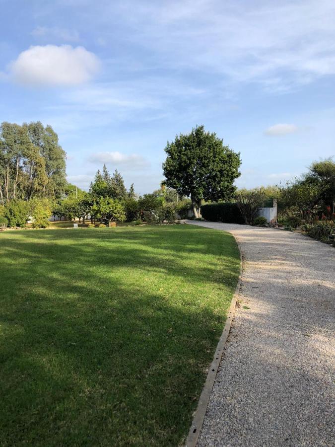 Quinta Verde Албуфейра Экстерьер фото